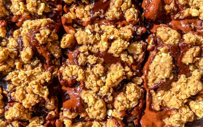 Chocolate Fudge Oat Bars